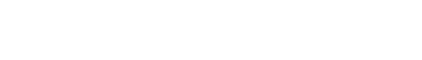 Prestige Phone