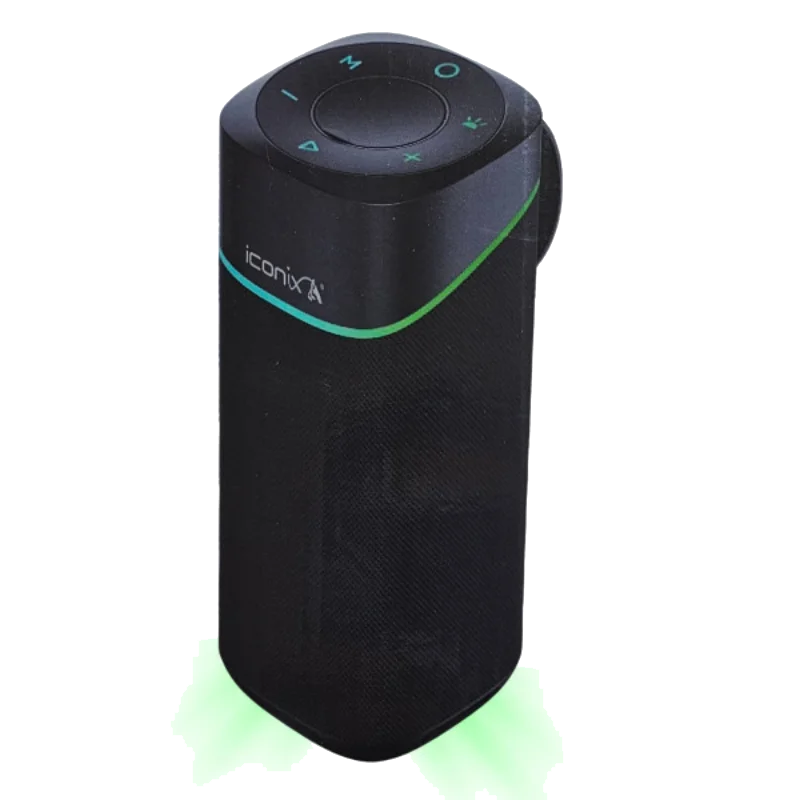 SPEAKER ICONIX 1345