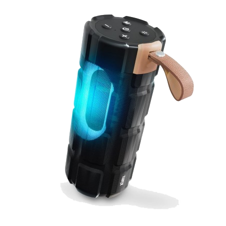 Speaker iconix 1355