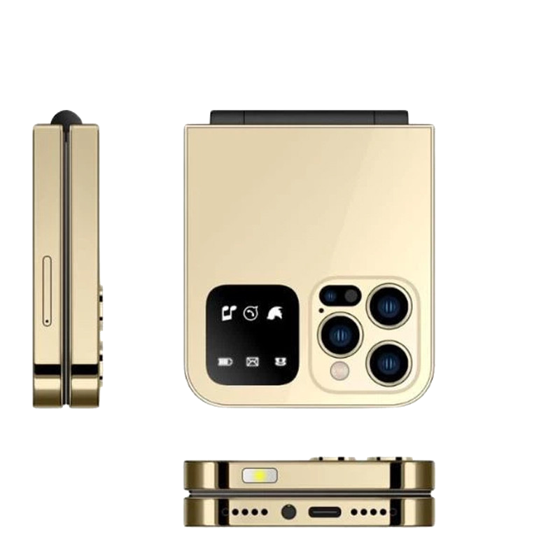 Téléphone Portable Clever F10